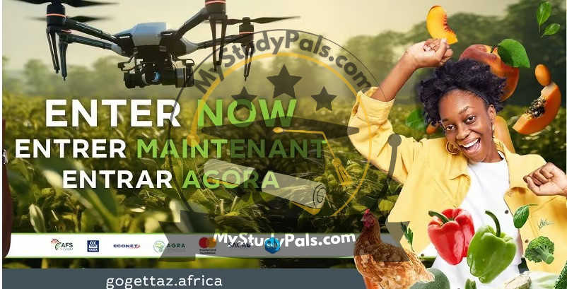 GOGERRAZ - MyStudyPals.com