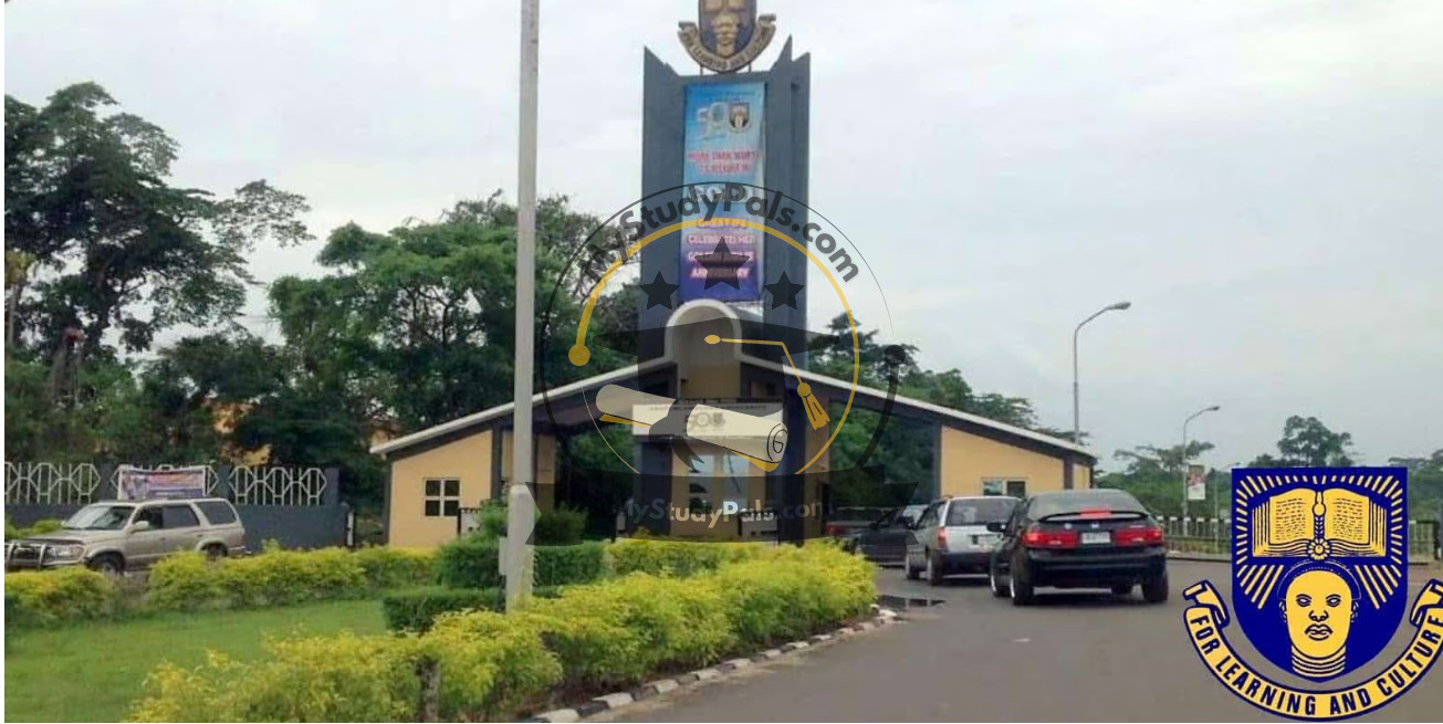 OAU Diploma Programmes Admission Form 2025 2026 - MyStudyPals.com